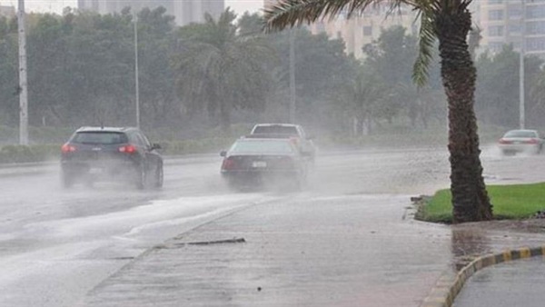 حالة الطقس اليوم الجمعة: أمطار غزيرة على السواحل الشمالية ومتوسطة على القاهرة