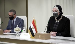 إطلاق مجلس الأعمال الإماراتي المصر