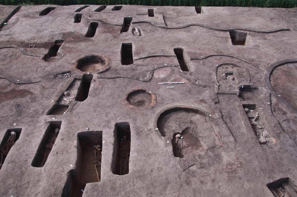 الأثار: الكشف عن ١١٠ مقبرة بمنطقة كوم الخلجان بالدقهلية