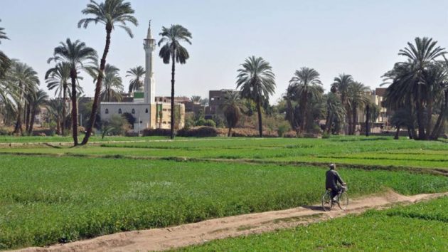 التنمية المحلية: نعمل على 5200 مشروعا ضمن مرحلة اولى لتطوير الريف المصري