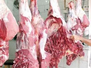 بـ 70 جنيه.. 11 منفذ لبيع اللحوم السودانية بالمحافظات خلال عيد الأضحي