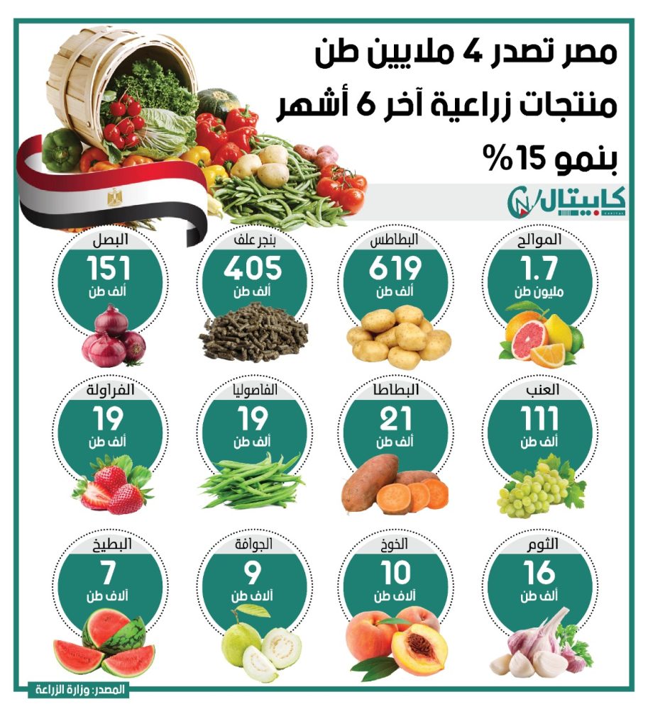 مصر تصدر 4 ملايين طن منتجات زراعية آخر 6 أشهر