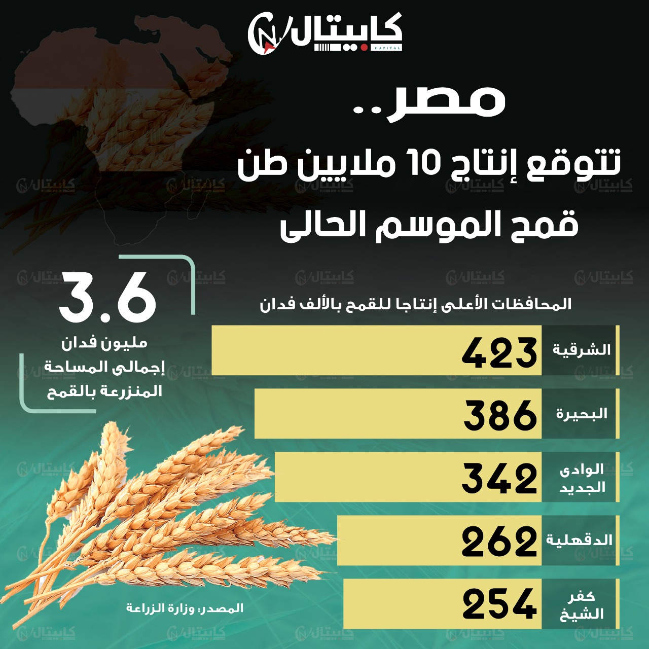 إنتاج القمح في مصر 