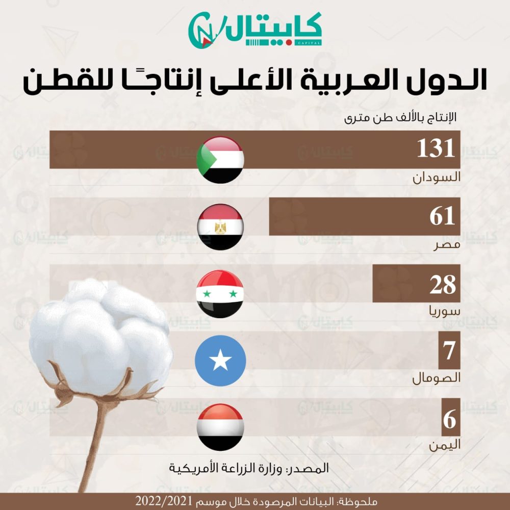 الدول العربية الأعلى إنتاجًا للقطن 