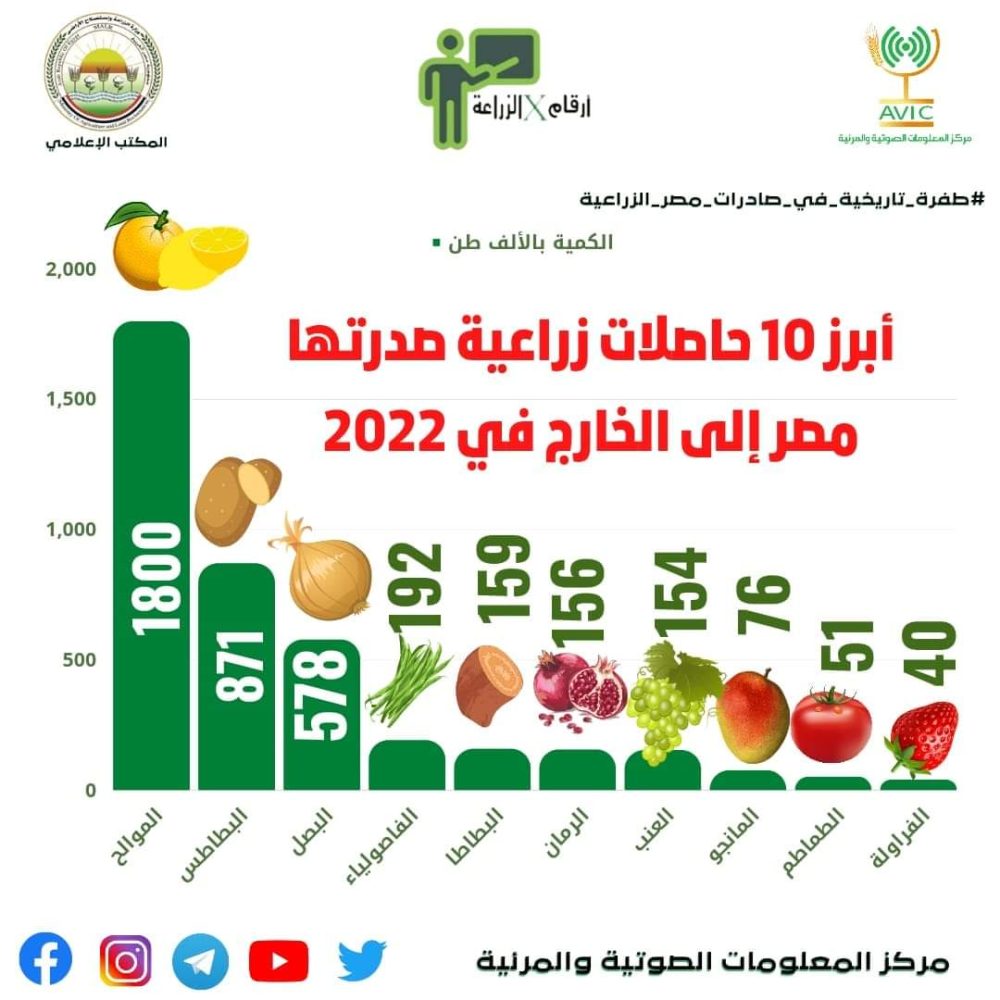 أبرز 10 حاصلات زراعية صدرتها مصر في 2022