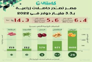 مصر تصدّر حاصلات زراعية بـ3.3 مليار دولار في 2022
